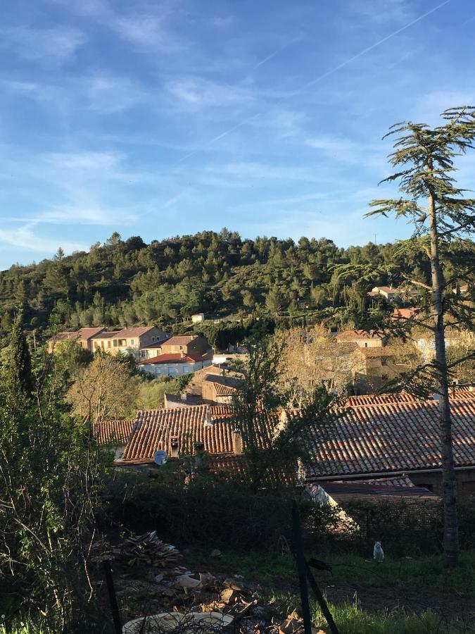 Chambres D Hotes Le Clos Des Vins D Anges Saint-Pierre-des-Champs Eksteriør bilde