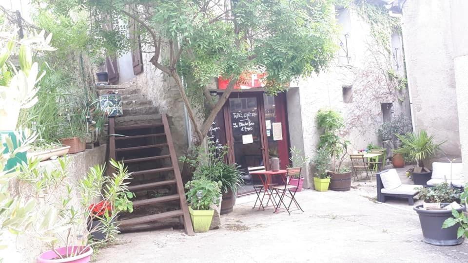 Chambres D Hotes Le Clos Des Vins D Anges Saint-Pierre-des-Champs Eksteriør bilde